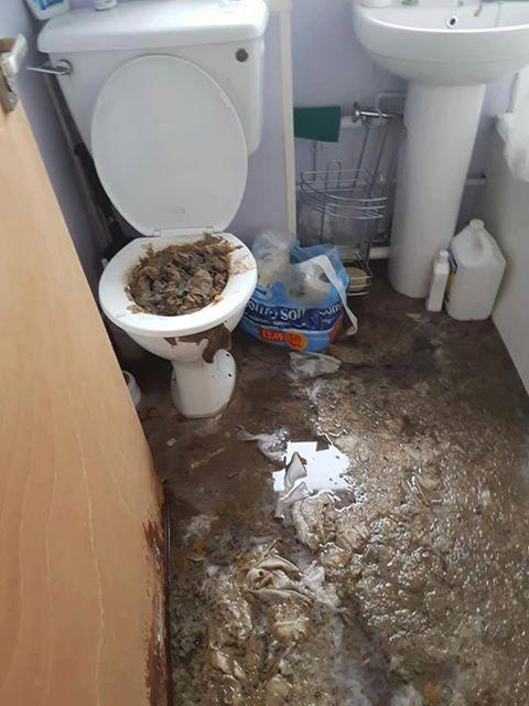 Flooded the bathroom floor