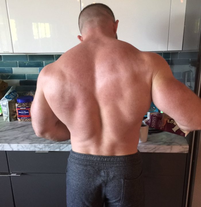 Back muscles