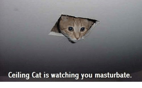 Ump reccomend Ceiling zetsu is watching you masturbate
