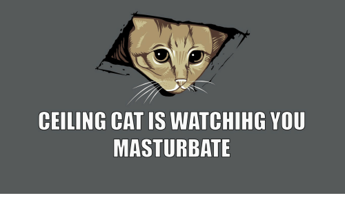 True N. reccomend Ceiling zetsu is watching you masturbate