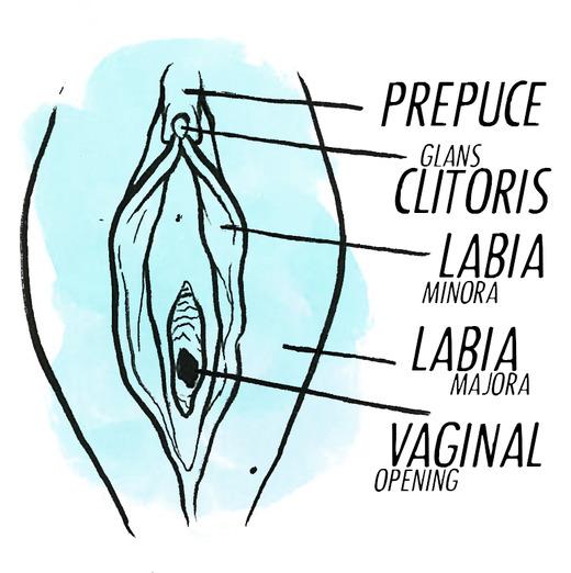 Twisty recommendet stimulation sex clitoral orgasm vs Vaginal