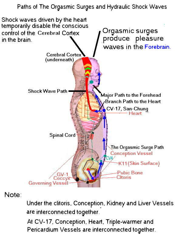 Sympathetic nervous system orgasm