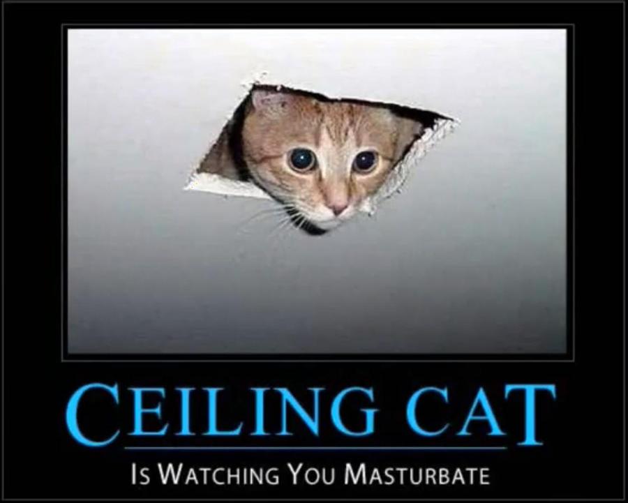 Ceiling zetsu is watching you masturbate