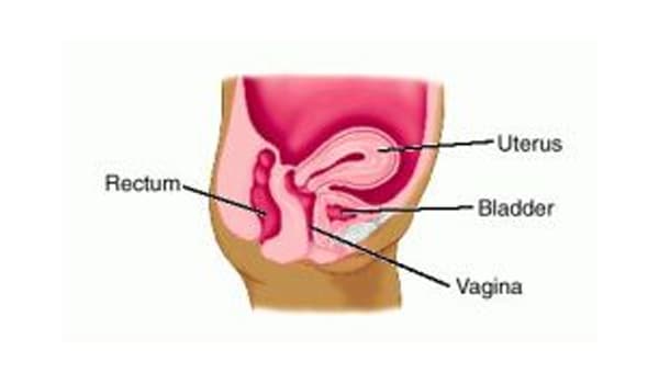 Camber recomended helpful orgasm positions info uterus Tilted