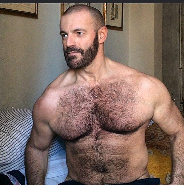 Hard-Boiled reccomend Bear dad hairy hot