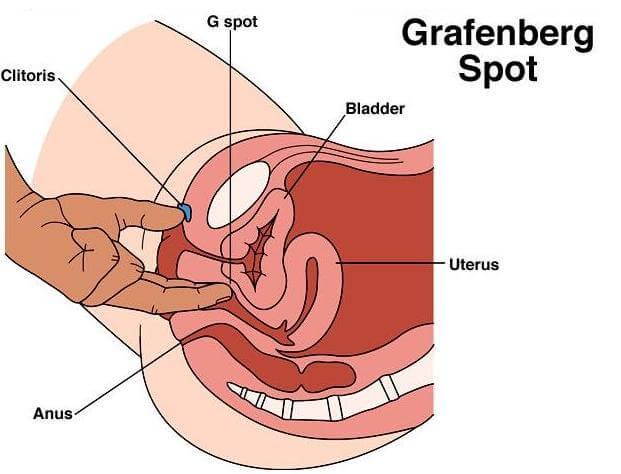 Fuck position cervix g-spot