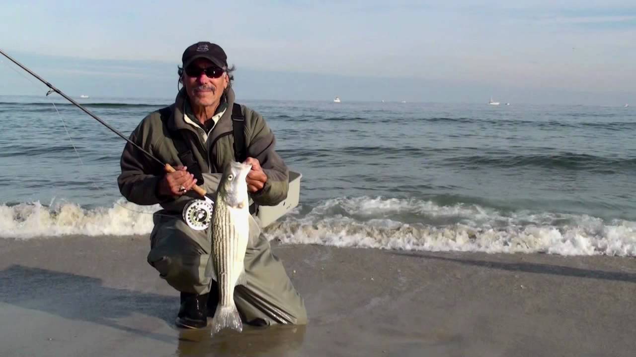 Duck reccomend Fly fish striped bass