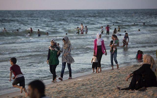 Petal reccomend Gaza strip sea