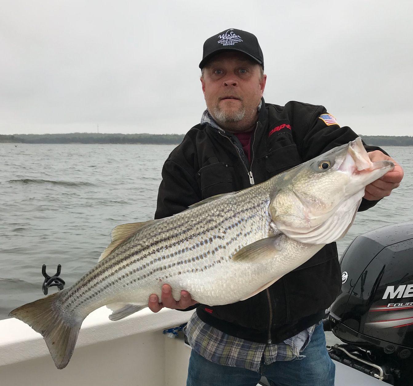 Budweiser reccomend Redhead charters stripers texoma