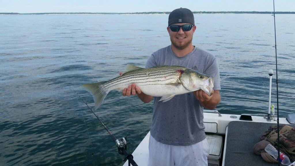 best of Charters texoma Redhead stripers