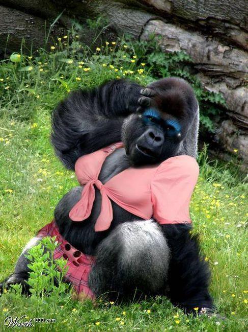 Funny gorilla woman in bikini