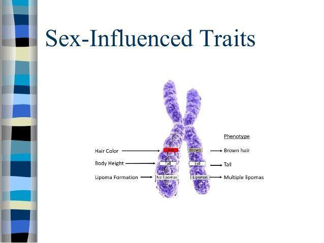 best of Traits Sex influenced