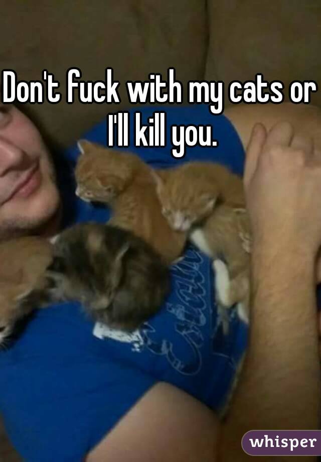 best of With cat fuck Dont this