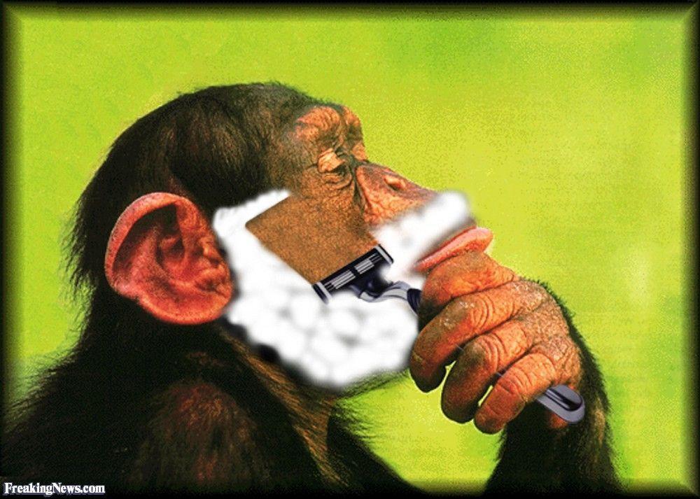 Kit-Kat reccomend Pretty shaved ape