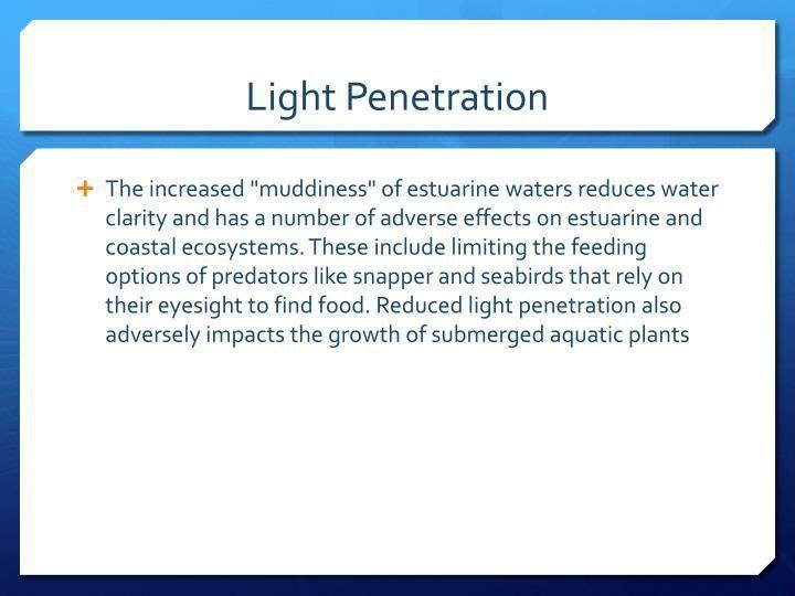 Estuary light penetration