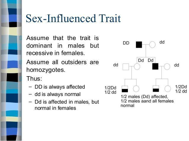 Pocky reccomend Sex influenced traits