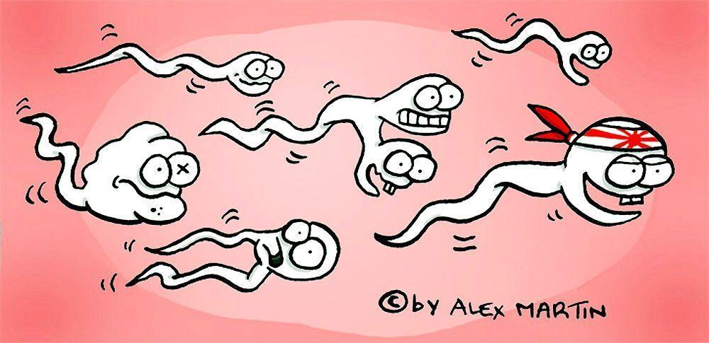 best of Of egg pictures Illistrated sperm fertilizing