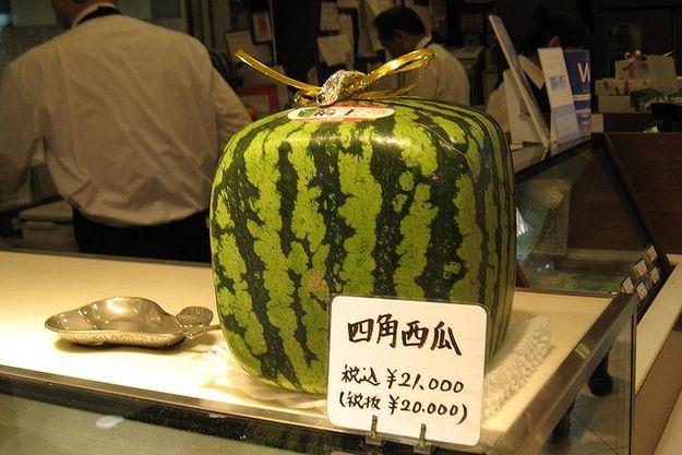 Asian mega melons