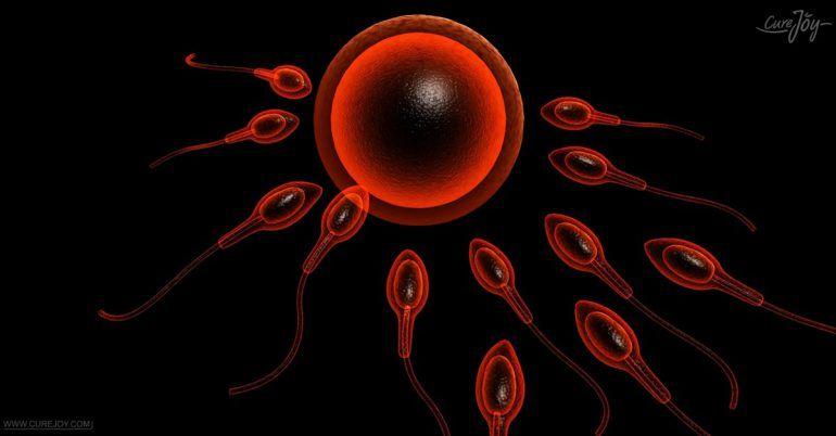 Can airborne sperm get a women pergant