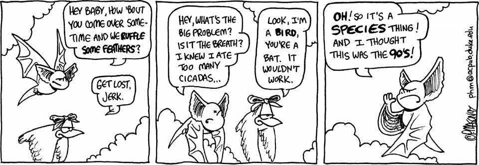 Bird comic strip