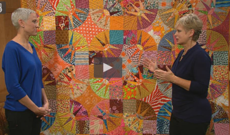 Pbs strip quilting sewing shows