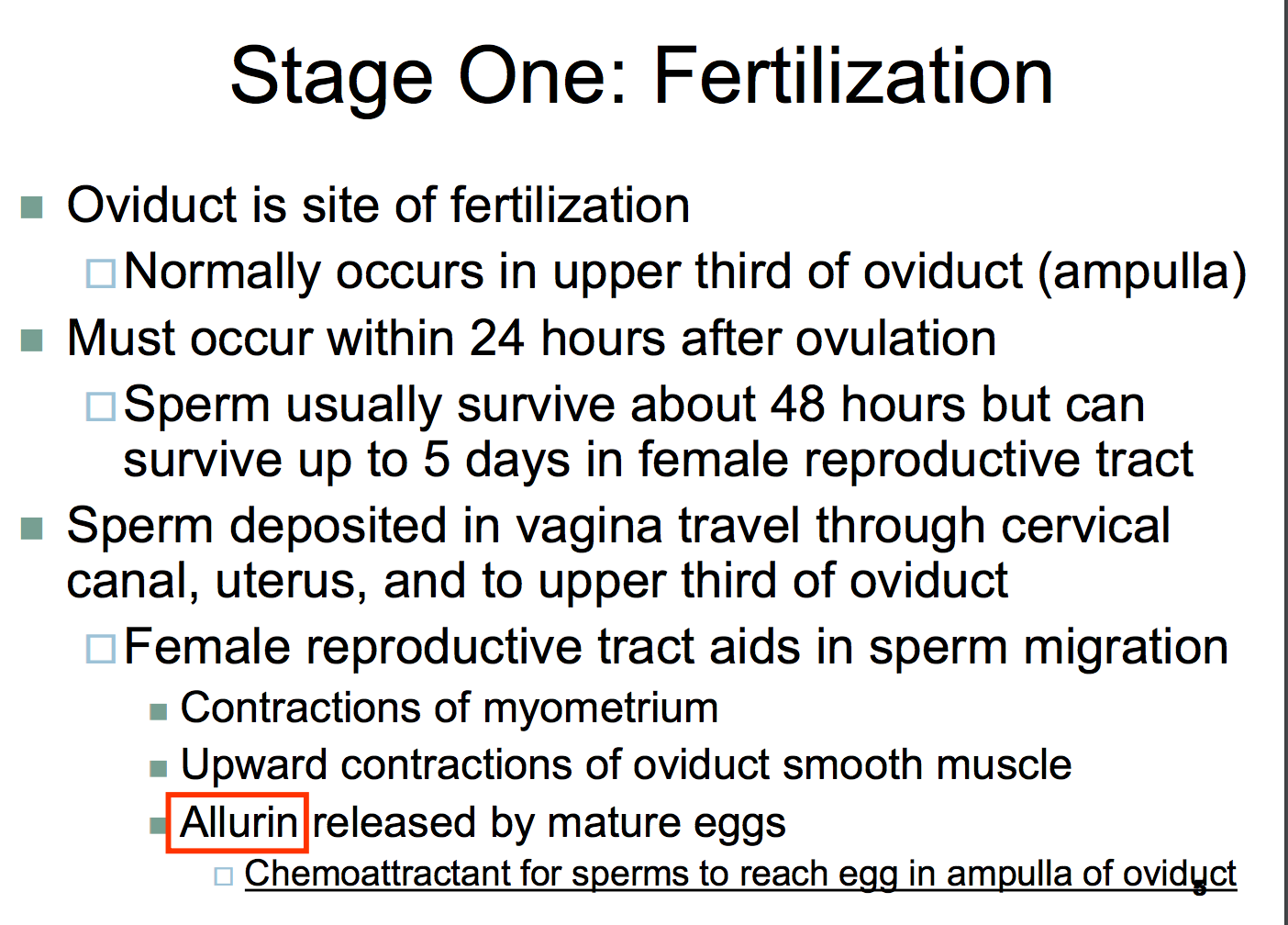 Sperm count 24 hours after ejaculation