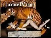 best of Tiger Girl fuck and