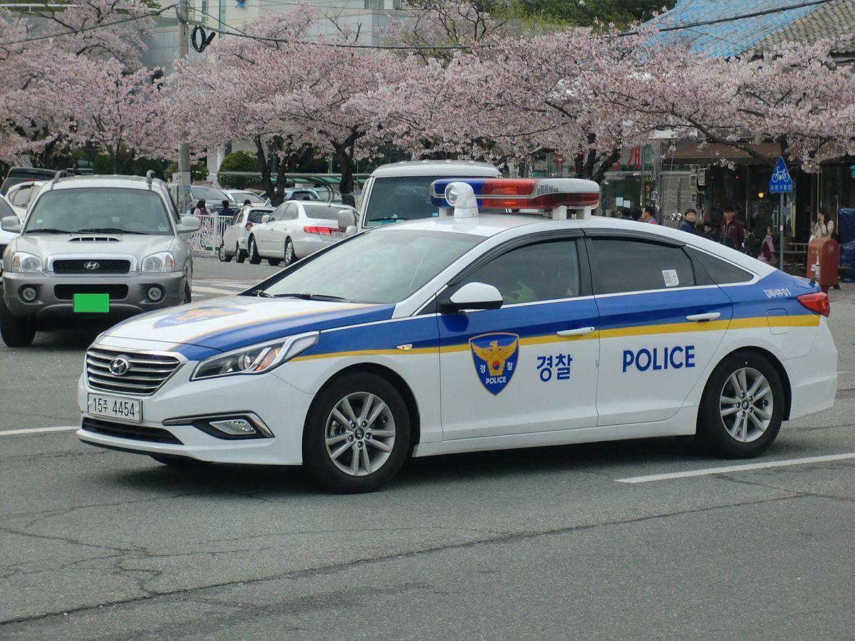 Icecap reccomend Asian police car