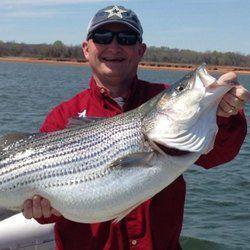 Redhead charters stripers texoma