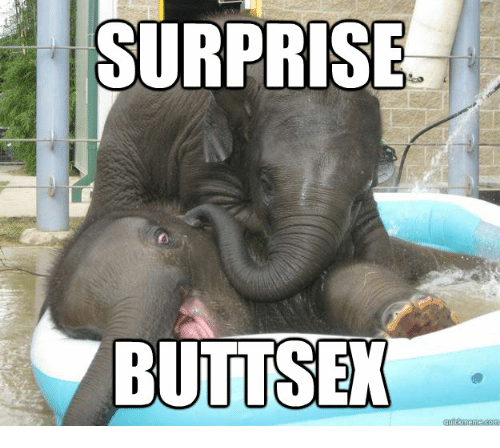 best of Sex surprise Butt