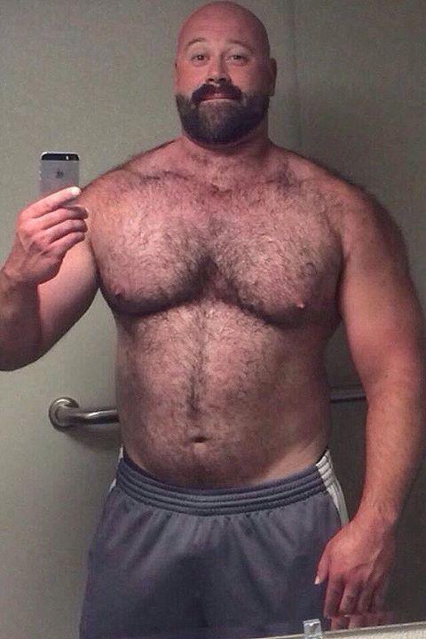 best of Hot Bear dad hairy