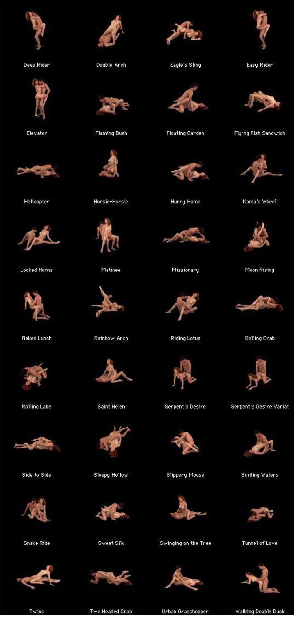 Position sex Sex Positions