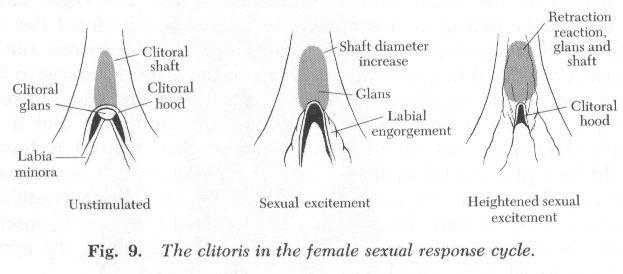 Clitoris pleasure tips