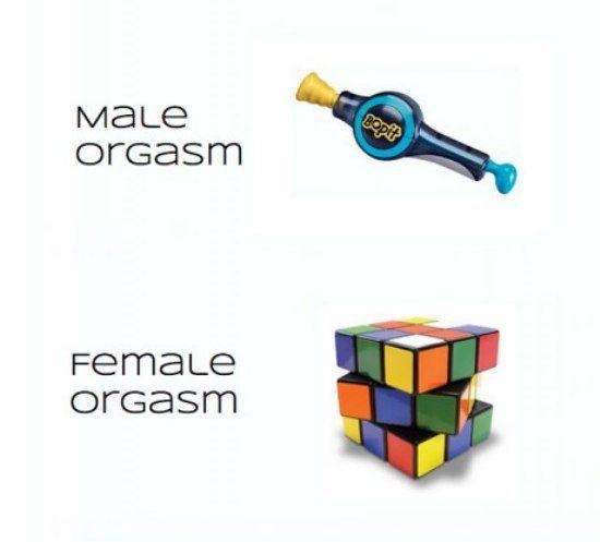 Renegade reccomend Difference male female orgasm