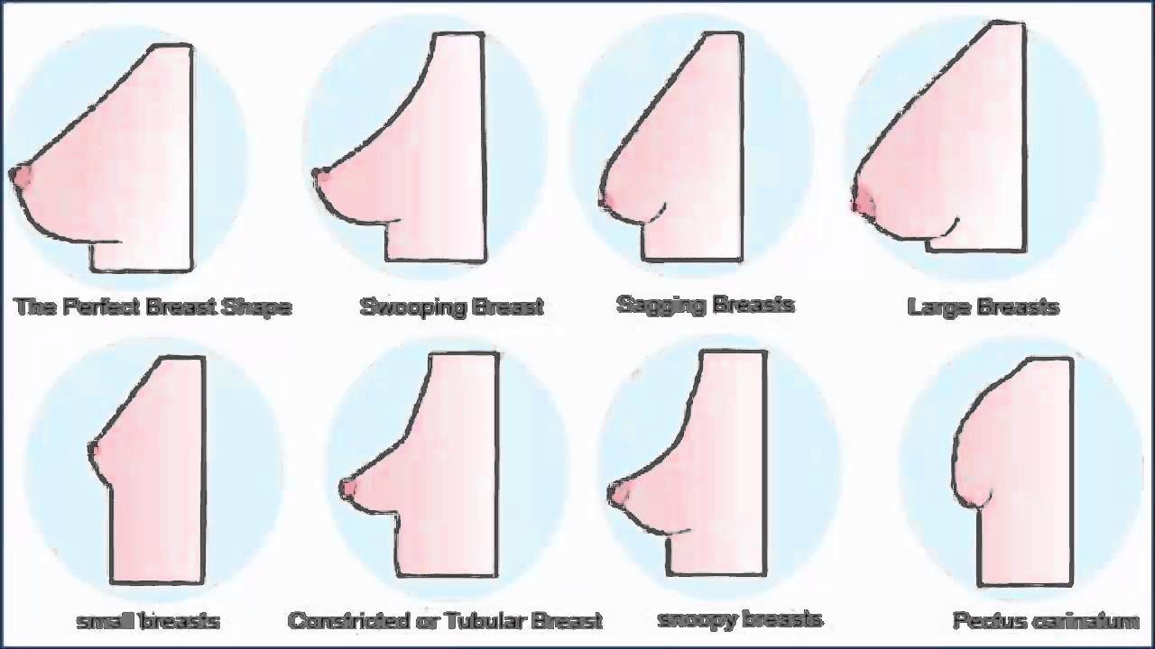 Different types of boob shapes