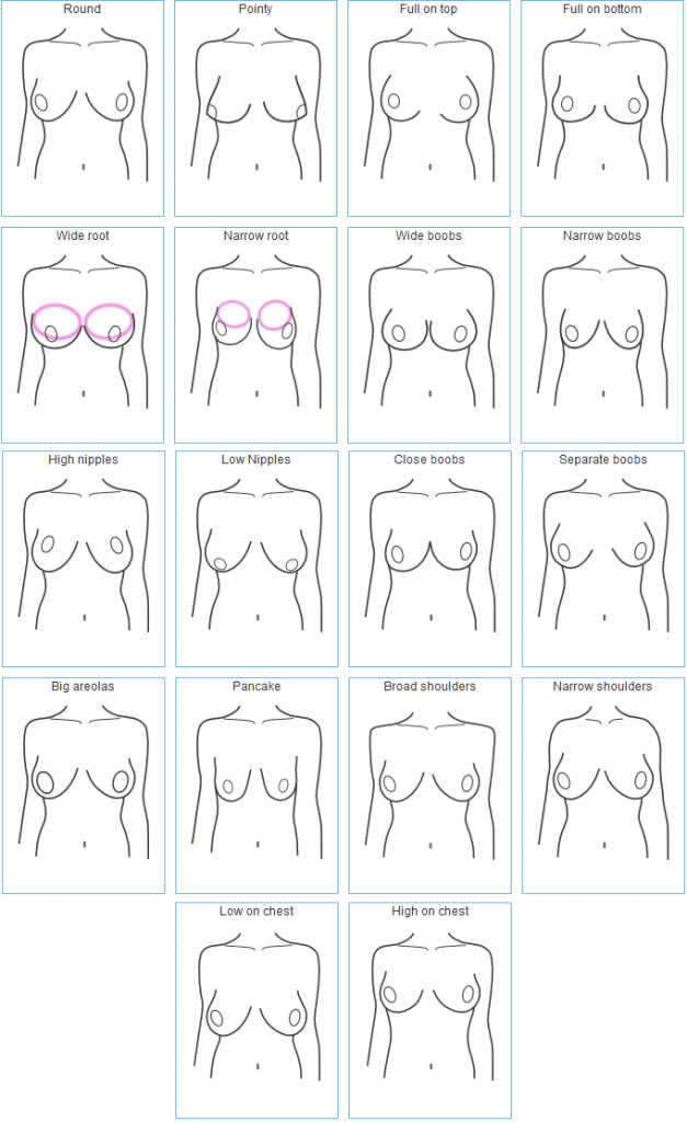 Different types of boob shapes