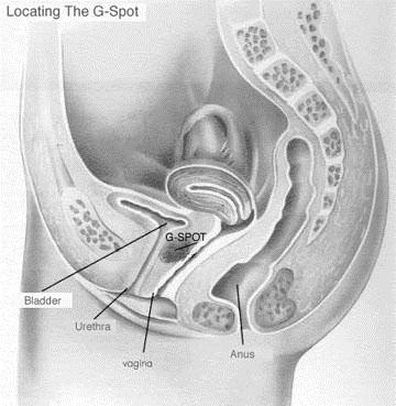 best of Cervix g-spot position Fuck