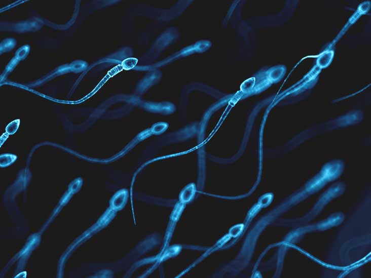 best of Fertile Gallery long remain How 2018 sperm Pics do