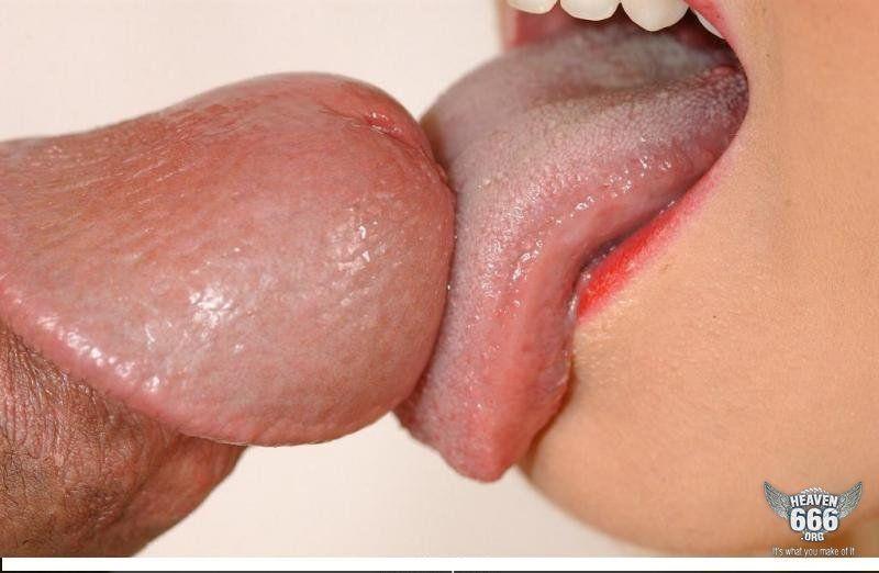Lick penis head