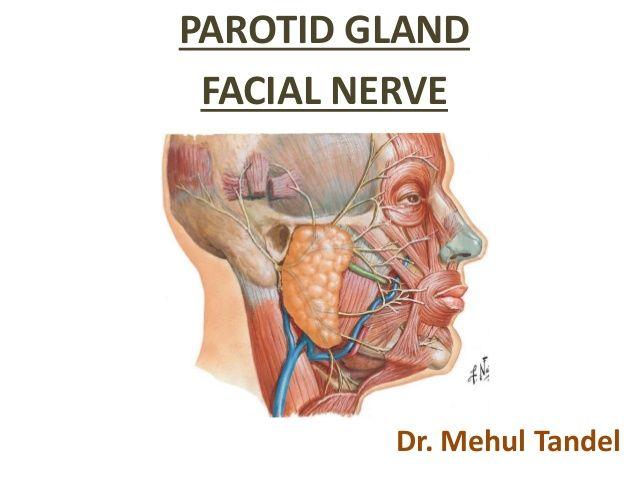 Abbot reccomend Parotidectomy with facial nerve