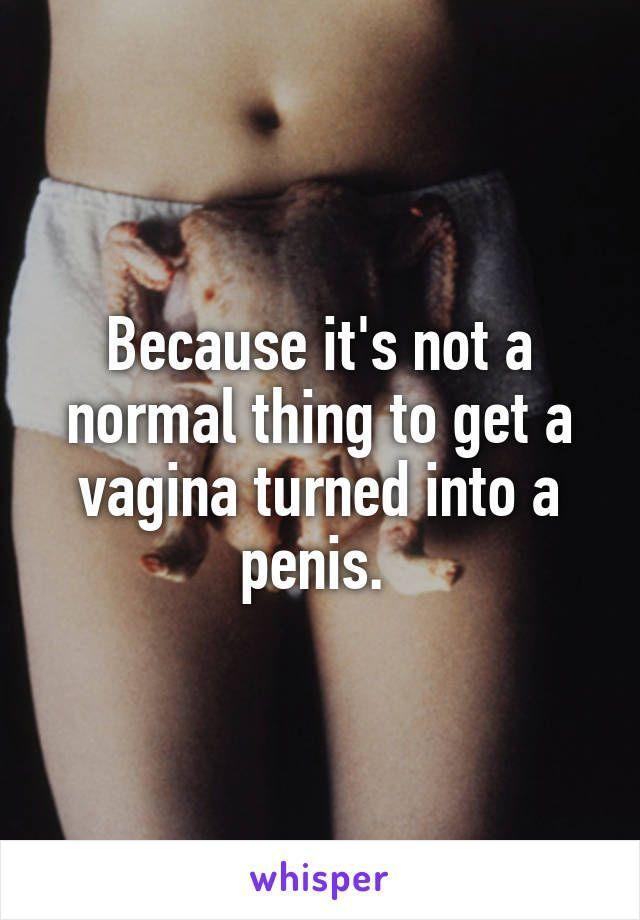 Vagina turned to penis