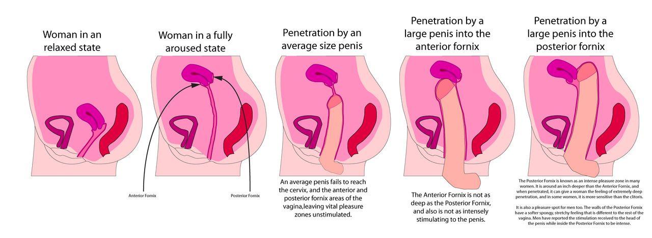 Chanel reccomend Vaginal penetration with objects