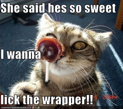 best of Wrapper Wanna lick the